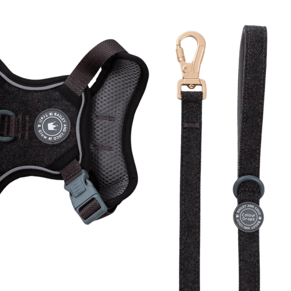 Dog Lead 5ft - Colour Drops - Charcoal Tweed - Bailey and Coco (UK)