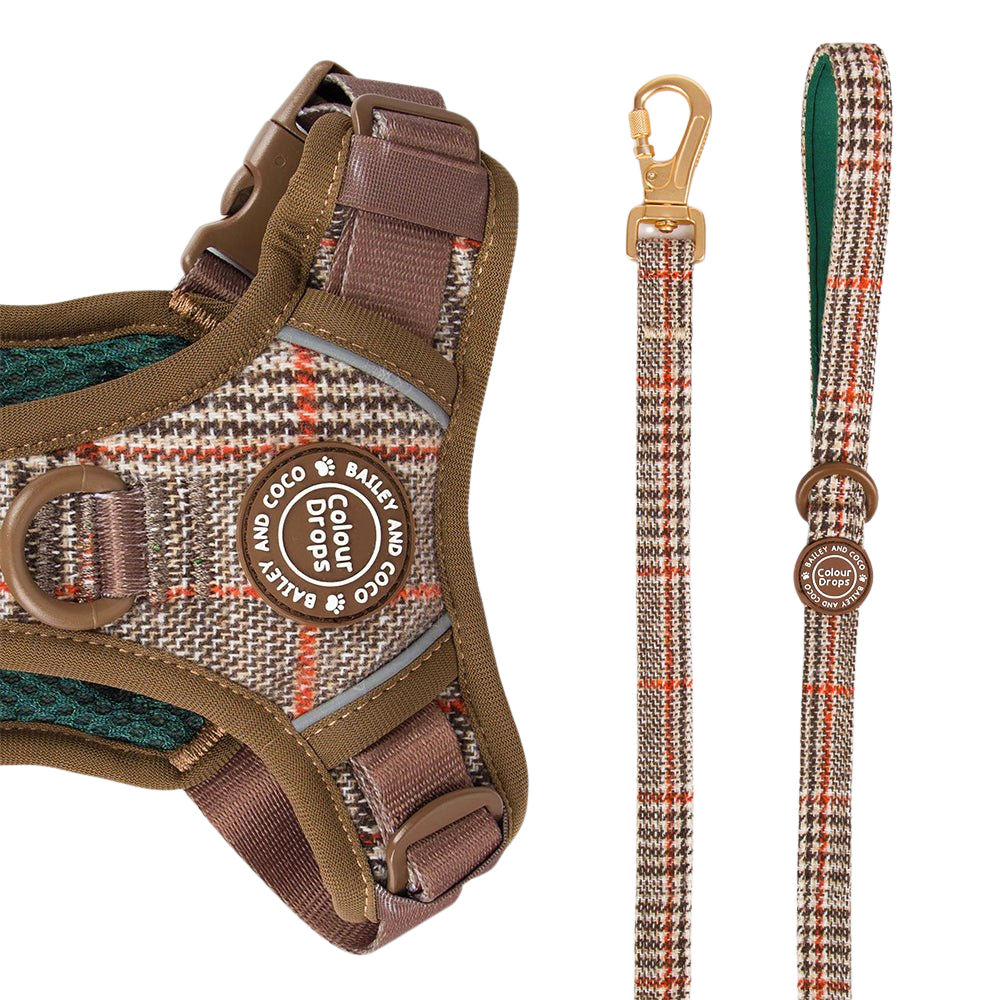 Heritage Plaid 5ft dog lead matching with collar set by Bailey and Coco