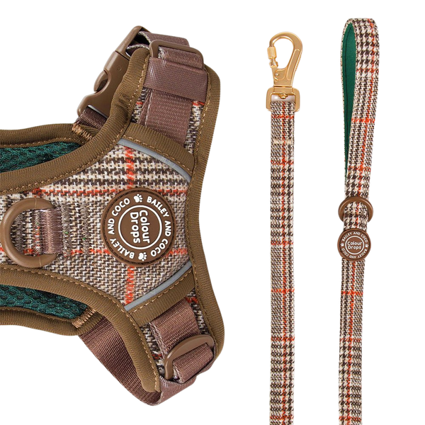 Dog Lead 5ft - Colour Drops - Heritage Plaid - Bailey and Coco (UK)