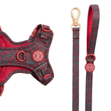 Dog Lead 5ft - Colour Drops - Jingle Berry - Bailey and Coco (UK)