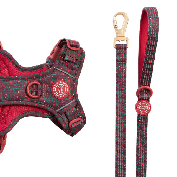 Dog Lead 5ft - Colour Drops - Jingle Berry - Bailey and Coco (UK)