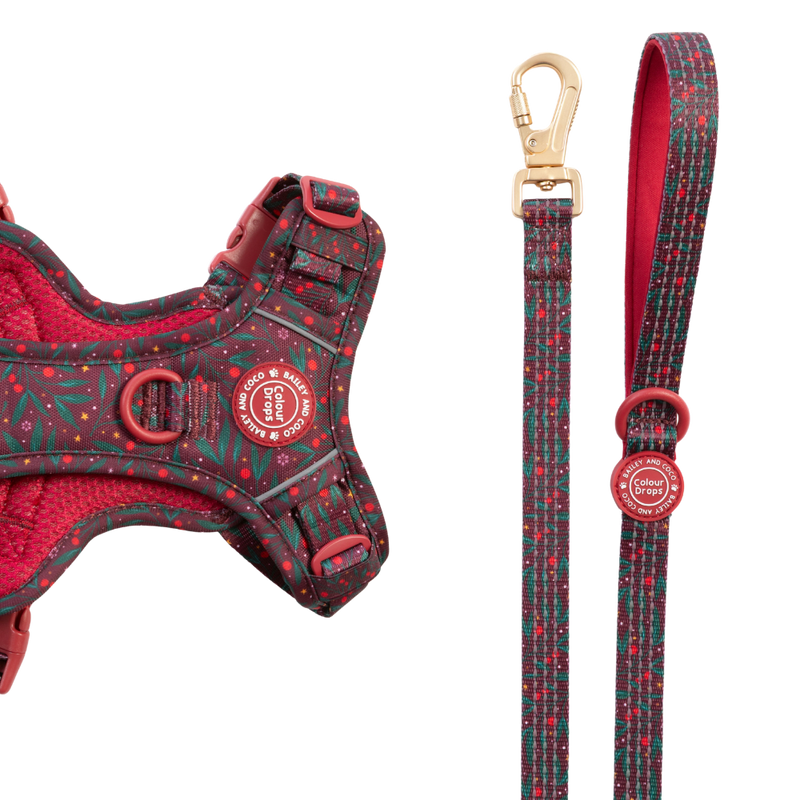 Dog Lead 5ft - Colour Drops - Jingle Berry - Bailey and Coco (UK)