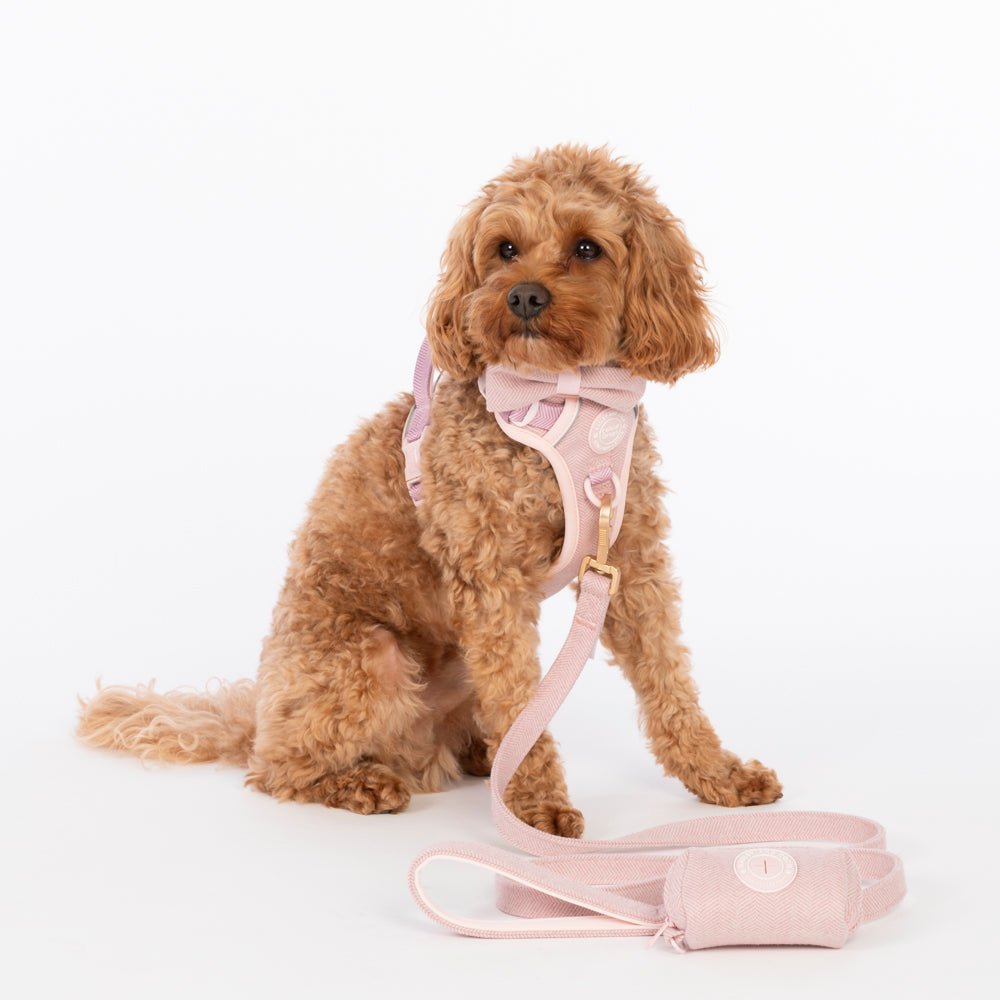 Bailey and Coco Lavender Tweed fabric dog lead, a stylish choice for winter dog walks
