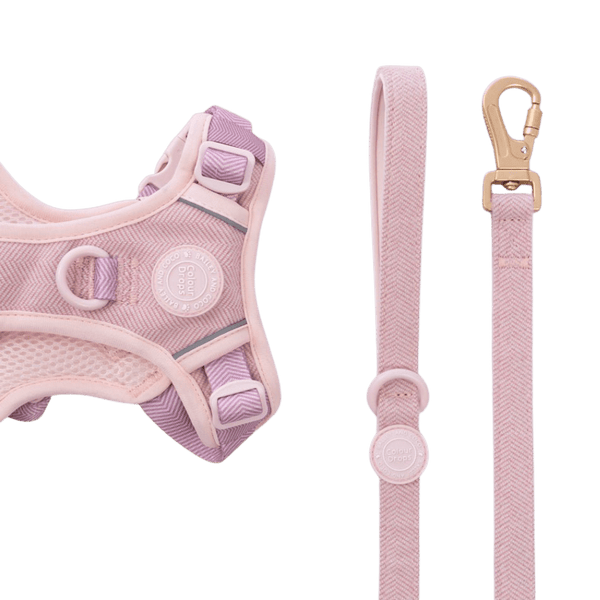 Dog Lead 5ft - Colour Drops - Lavender Tweed - Bailey and Coco (UK)