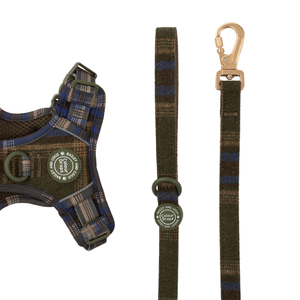Dog Lead 5ft - Colour Drops - Mayfair Tweed - Bailey and Coco (UK)