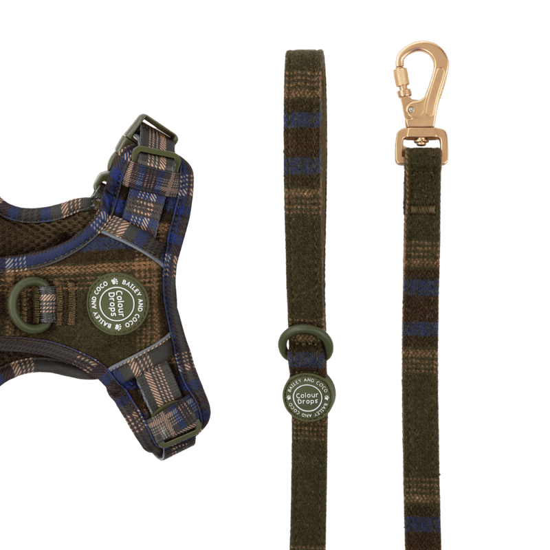 Dog Lead 5ft - Colour Drops - Mayfair Tweed - Bailey and Coco (UK)