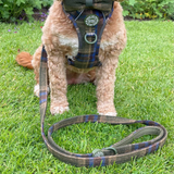 Dog Lead 5ft - Colour Drops - Mayfair Tweed - Bailey and Coco (UK)