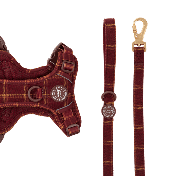 Dog Lead 5ft - Colour Drops - Mulberry Plaid - Bailey and Coco (UK)