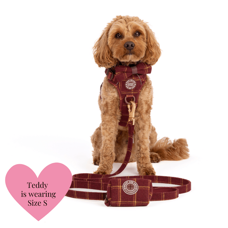 Dog Lead 5ft - Colour Drops - Mulberry Plaid - Bailey and Coco (UK)