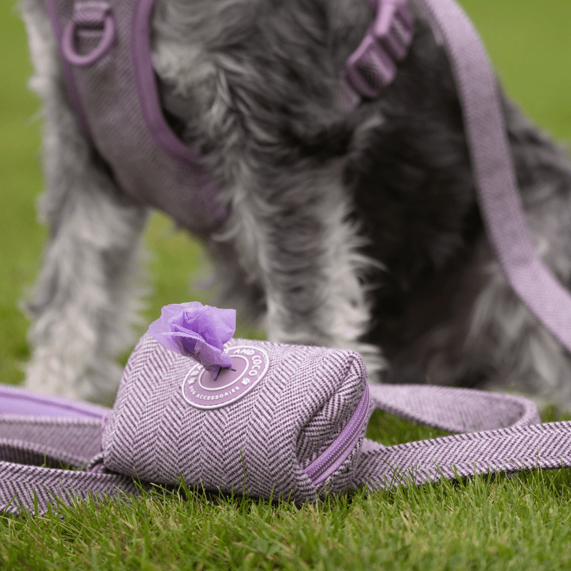 Dog Lead 5ft - Colour Drops - Plum Tweed - Bailey and Coco (UK)