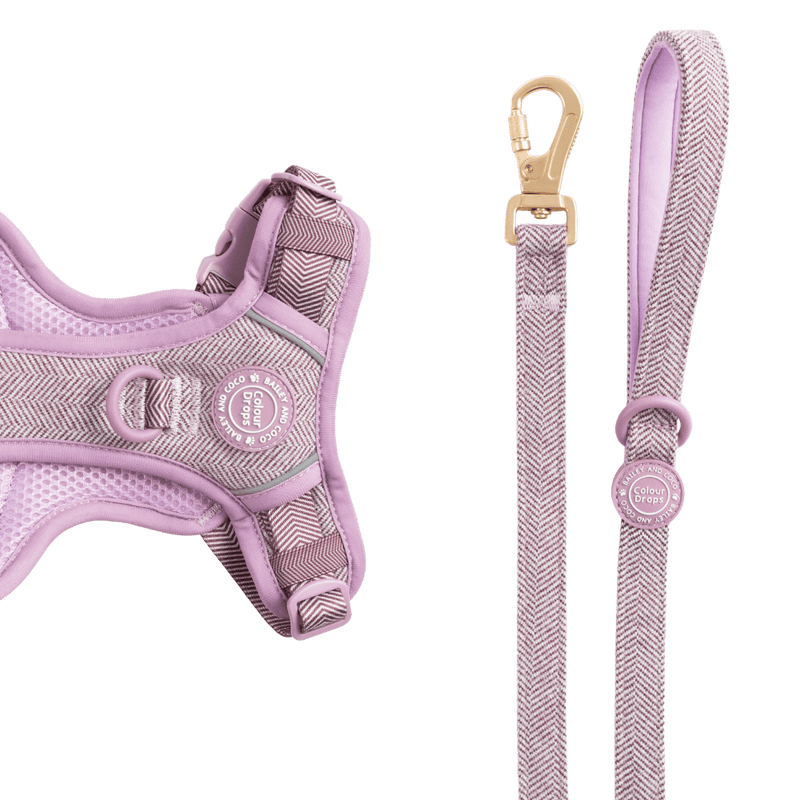Dog Lead 5ft - Colour Drops - Plum Tweed - Bailey and Coco (UK)
