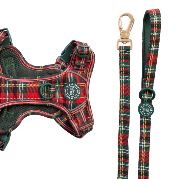 Dog Lead 5ft - Colour Drops - Red Highland Tartan - Bailey and Coco (UK)