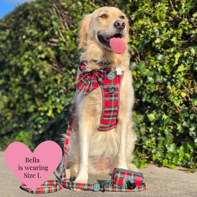 Dog Lead 5ft - Colour Drops - Red Highland Tartan - Bailey and Coco (UK)