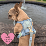 Dog Lead 5ft - Colour Drops - Sage Tweed - Bailey and Coco (UK)