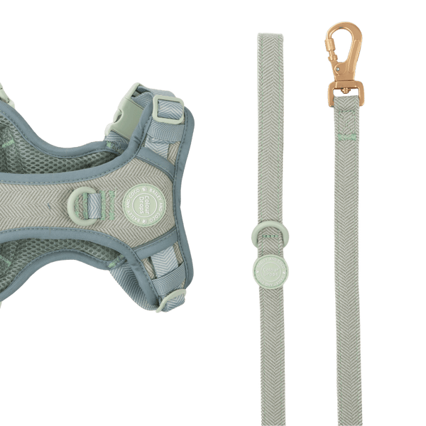 Dog Lead 5ft - Colour Drops - Sage Tweed - Bailey and Coco (UK)