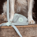 Dog Lead 5ft - Colour Drops - Sage Tweed - Bailey and Coco (UK)