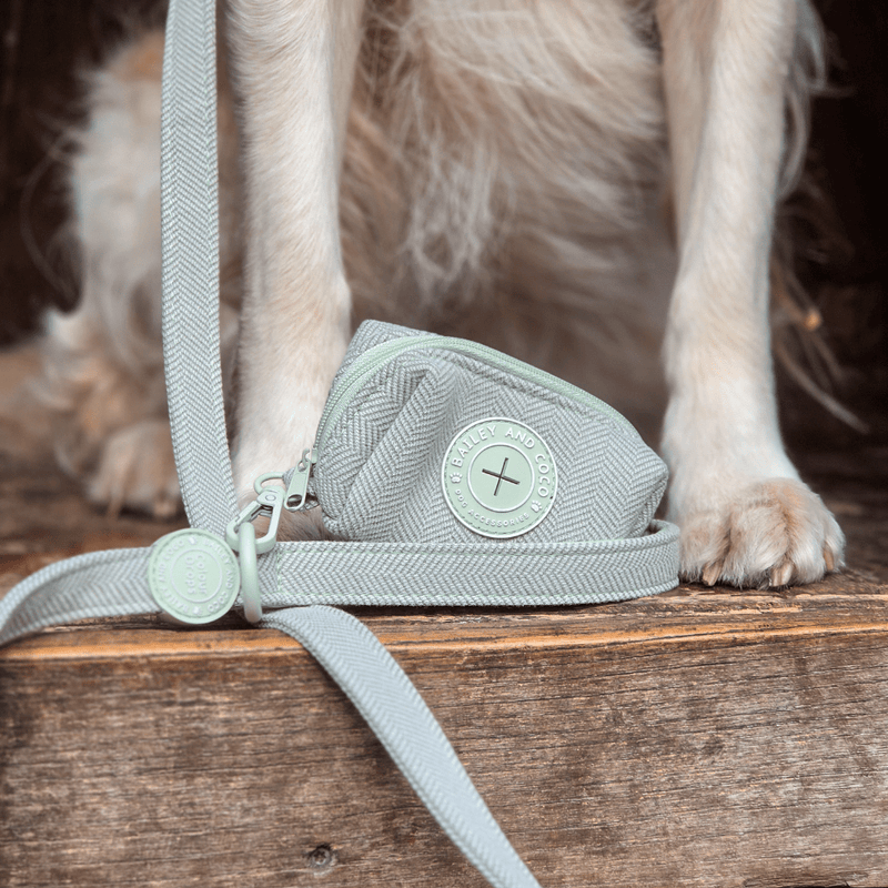 Dog Lead 5ft - Colour Drops - Sage Tweed - Bailey and Coco (UK)