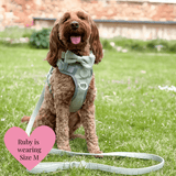 Dog Lead 5ft - Colour Drops - Sage Tweed - Bailey and Coco (UK)