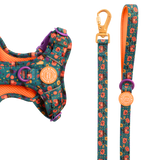 Dog Lead 5ft - Colour Drops - Spellbound Autumn - Bailey and Coco (UK)