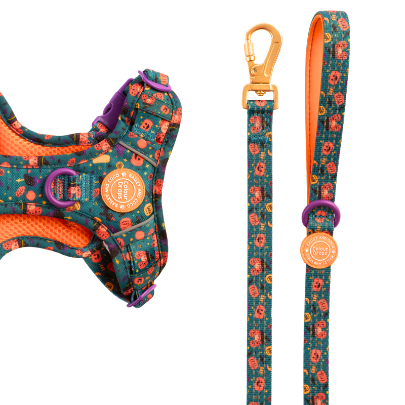Dog Lead 5ft - Colour Drops - Spellbound Autumn - Bailey and Coco (UK)