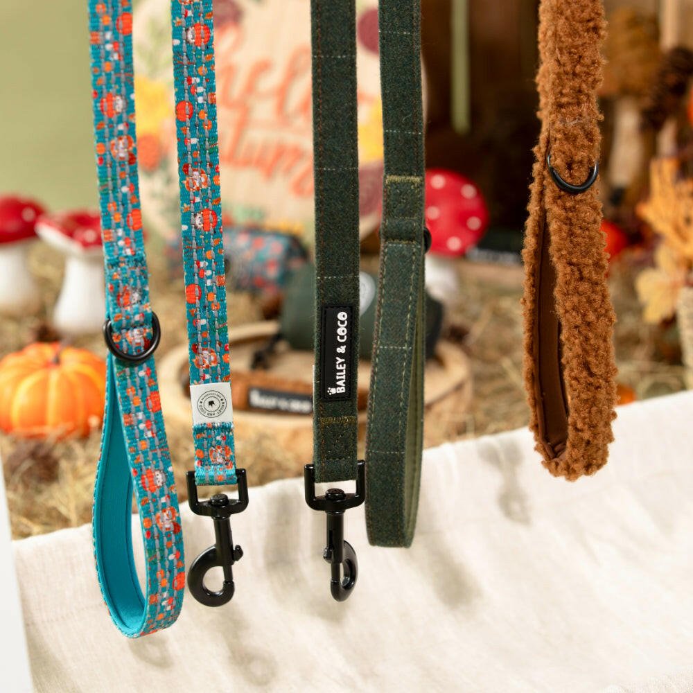 Forest Tweed fabric dog lead from Bailey and Coco, a lightweight lead perfect for puppy garden practice