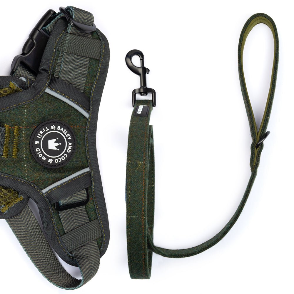 Dog Lead 5ft - Forest Tweed - Bailey and Coco (UK)