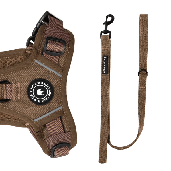 Dog Lead 5ft - Oxford Tweed - Bailey and Coco (UK)