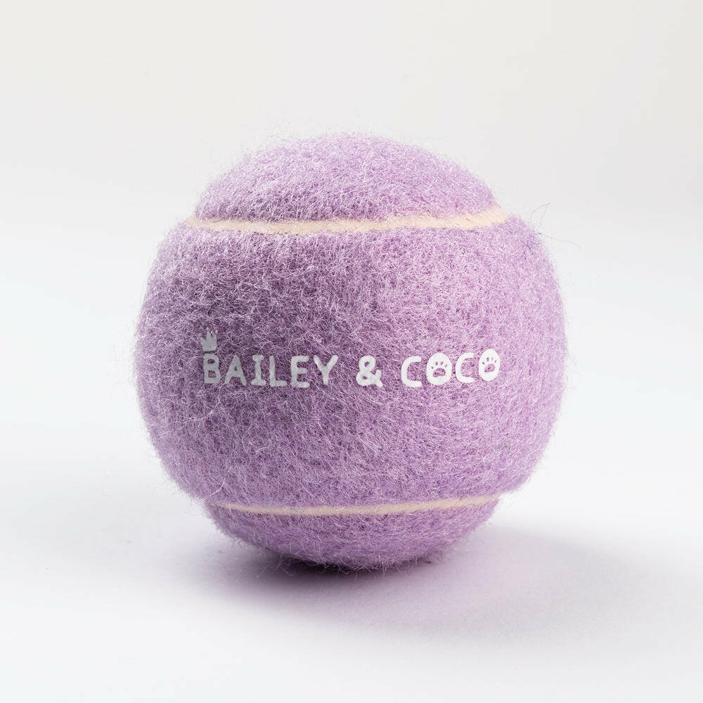 Dog Tennis Ball Toy - Purple - Bailey and Coco (UK)