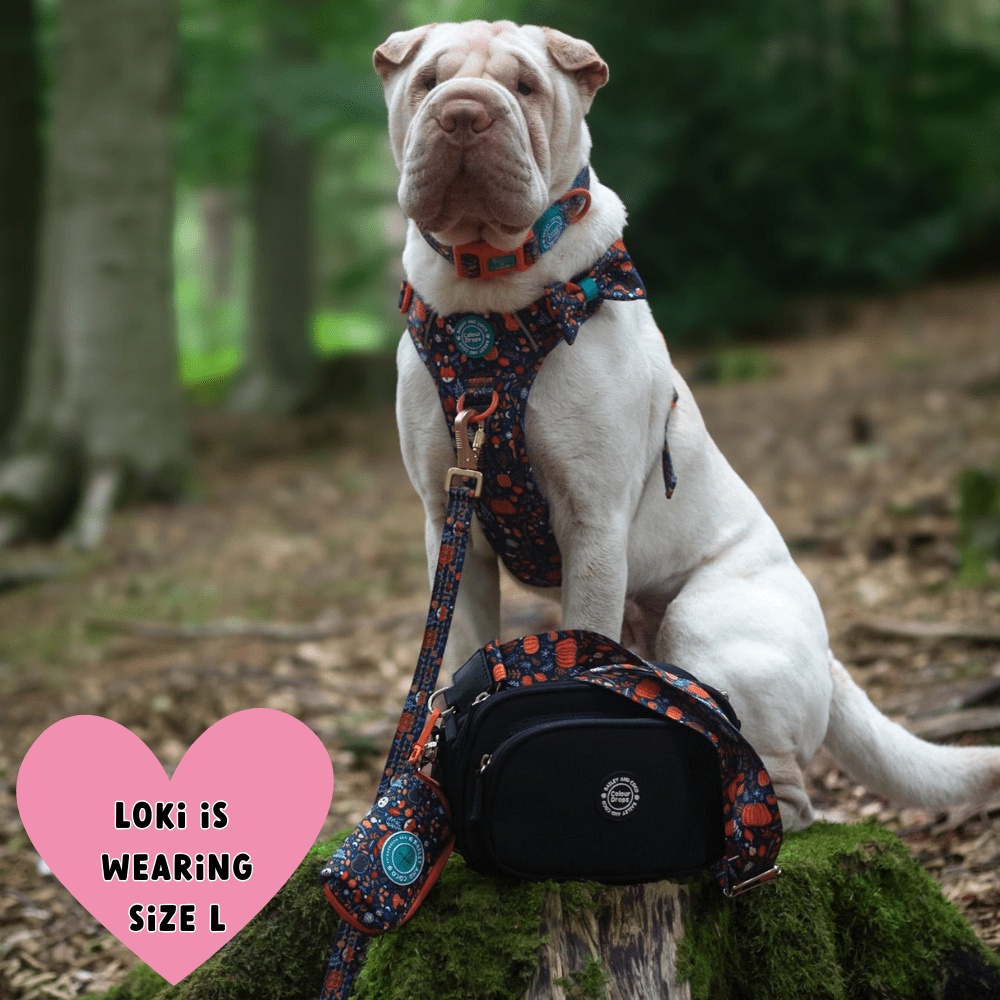 Dog Walking Bag - Black with Bewitched Strap - Bailey and Coco (UK)