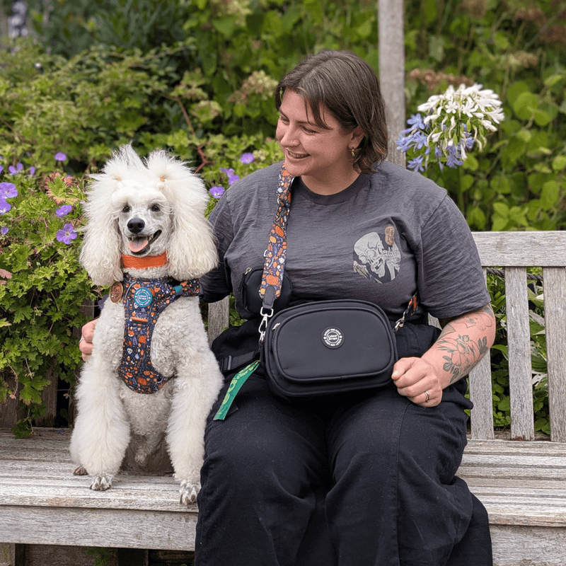 Dog Walking Bag - Black with Bewitched Strap - Bailey and Coco (UK)