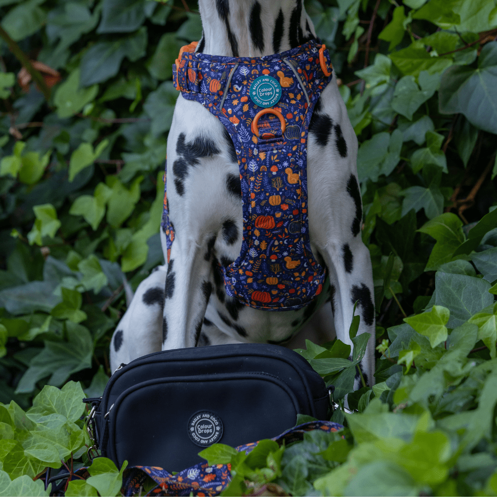 Dog Walking Bag - Black with Bewitched Strap - Bailey and Coco (UK)