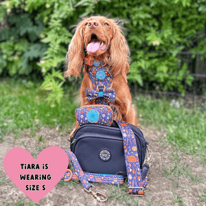 Dog Walking Bag - Black with Bewitched Strap - Bailey and Coco (UK)