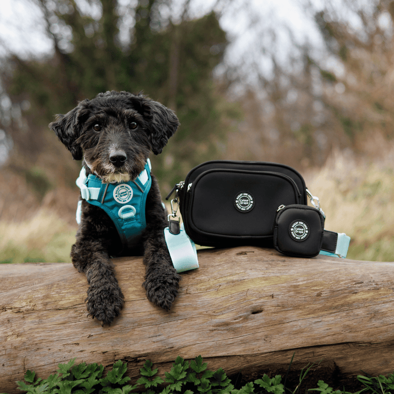 dog walking pouch bag