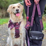 Dog Walking Bag - Black with Jingle Berry Strap - Bailey and Coco (UK)