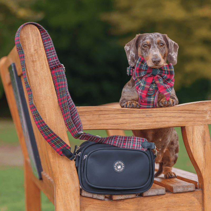 Dog Walking Bag - Black with Red Highland Tartan Strap - Bailey and Coco (UK)
