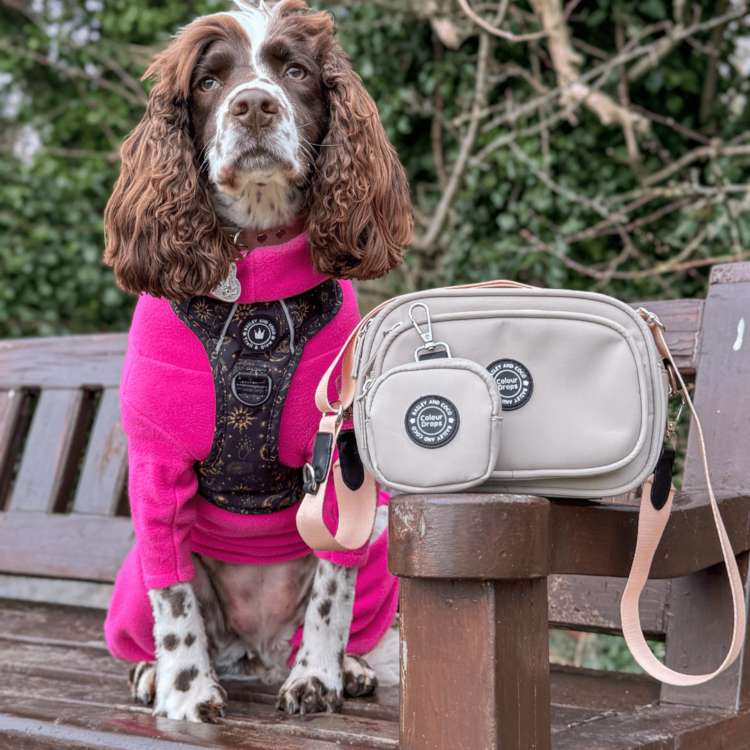 Dog Walking Bag - Latte with Ice Teal Strap - Bailey and Coco (UK)