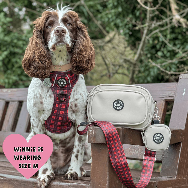 Dog Walking Bag - Latte with Red Tartan Strap - Bailey and Coco (UK)