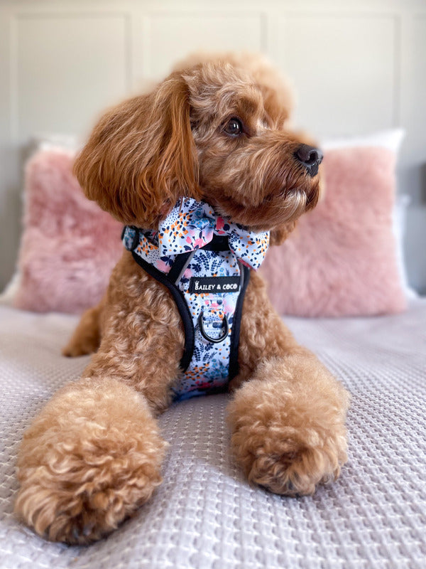 Dog wearing a stylish bow tie from Bailey and Coco in the UK