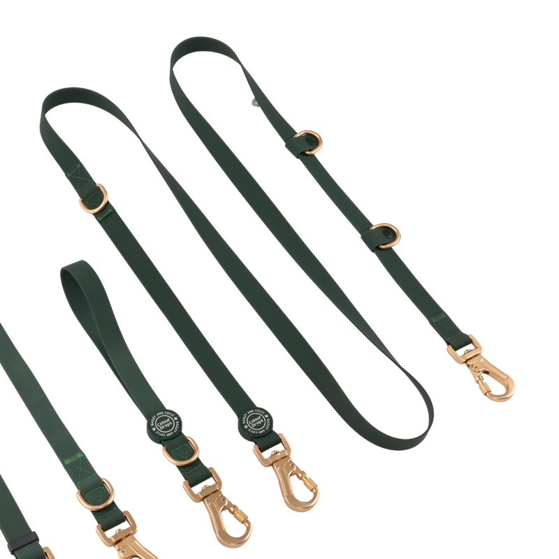 Hands-Free Double Ended Dog Lead – Forest Green