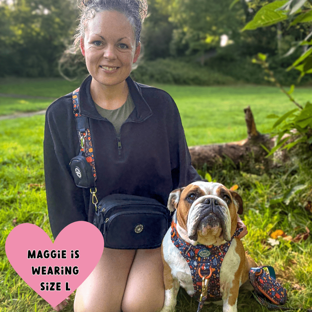English Bulldog wearing Bailey & Coco Colour Drops Bewitched dog harness sitting beside owner carrying black dog walking bag with matching strap in a UK park