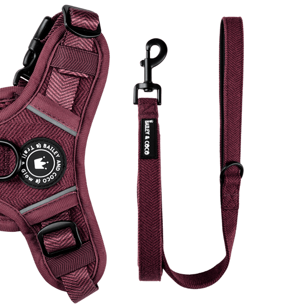 Fabric Dog Lead 5ft - Mulberry Tweed - Bailey and Coco (UK)