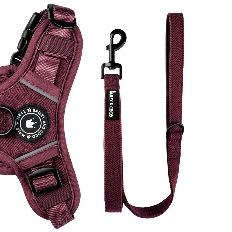 Fabric Dog Lead 5ft - Mulberry Tweed - Bailey and Coco (UK)