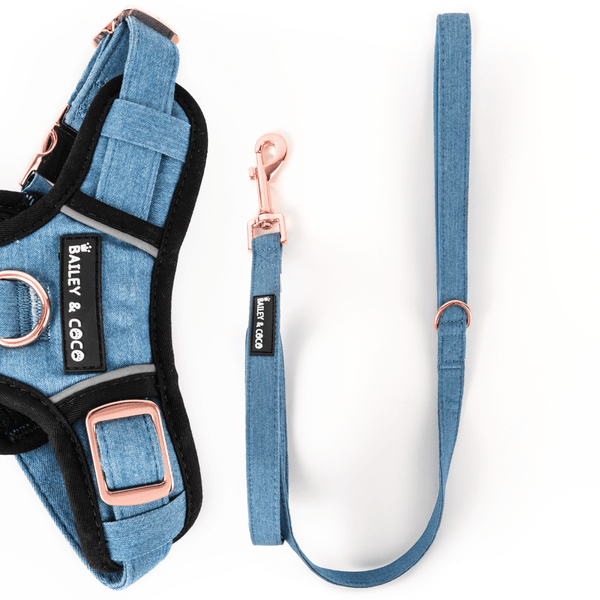Fabric Dog Lead 5ft - The Denim One - Bailey and Coco (UK)