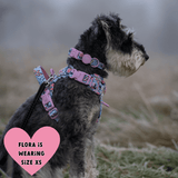 Floral Dog Harness - Colour Drops - Spring Dreams - Bailey and Coco (UK)