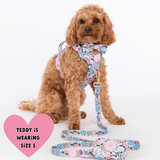 Floral Dog Harness - Colour Drops - Spring Dreams - Bailey and Coco (UK)