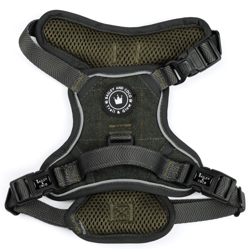 Forest Tweed Adjustable Dog Harness, Lead, Collar & Dog Walking Bag Bundle - Bailey and Coco (UK)