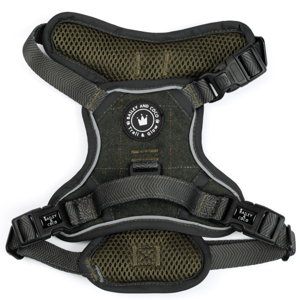 Forest Tweed Adjustable Dog Harness, Lead, Collar & Dog Walking Bag Bundle - Bailey and Coco (UK)