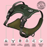 Forest Tweed Adjustable Dog Harness, Lead, Collar & Dog Walking Bag Bundle - Bailey and Coco (UK)