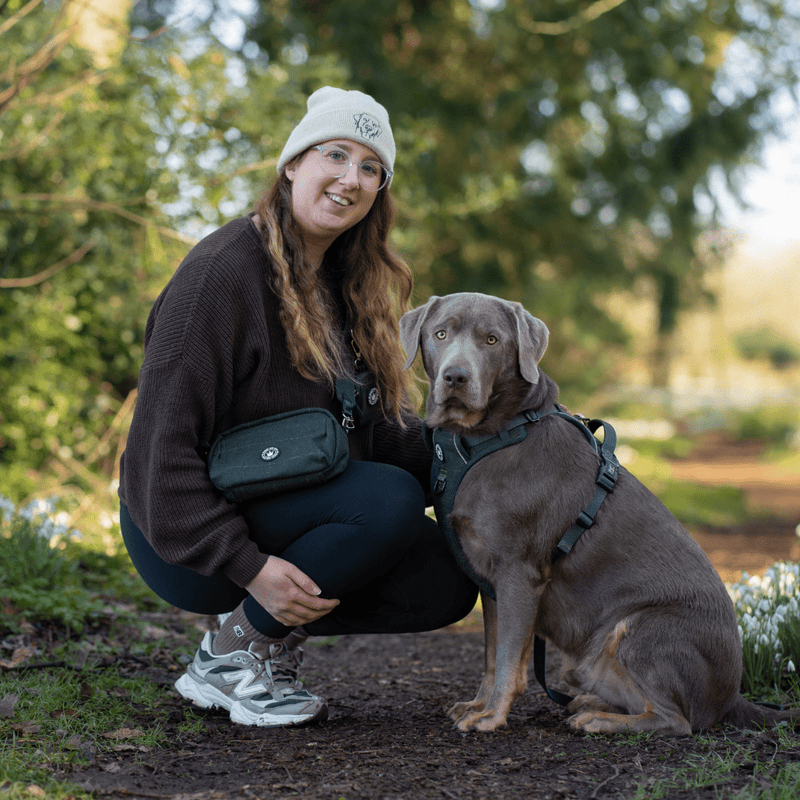 Forest Tweed Adjustable Dog Harness, Lead, Collar & Tweed Dog Walking Bag Bundle - Bailey and Coco (UK)
