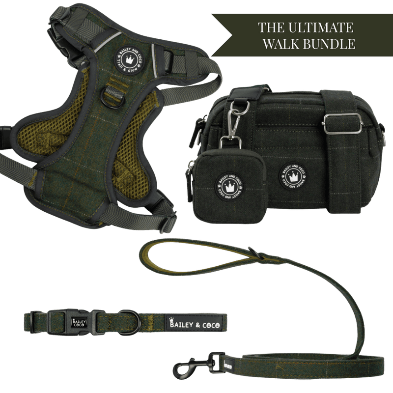 Forest Tweed Adjustable Dog Harness, Lead, Collar & Tweed Dog Walking Bag Bundle - Bailey and Coco (UK)